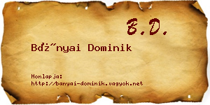 Bányai Dominik névjegykártya